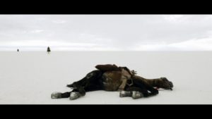 Blacthorn