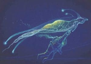 Moebius Abyss