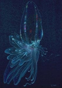 Moebius Abyss