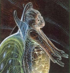 Moebius Abyss