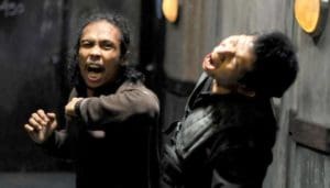 The raid