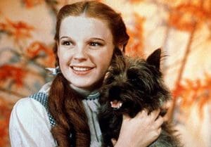 Dorothy I Toto