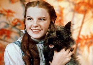 Dorothy i toto