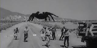images (1) Tarántula