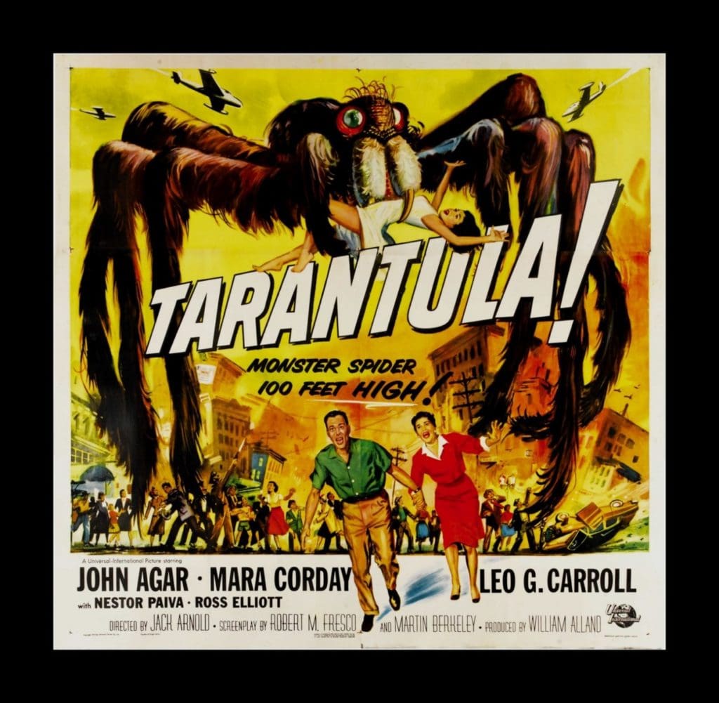 tarantula6sh