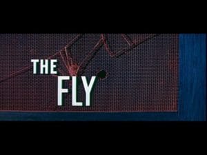 Fly movie title screen