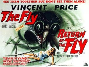 Returnofthefly