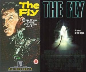 The fly