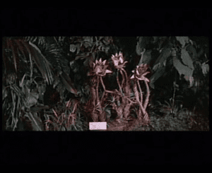 Screenshot1wb7