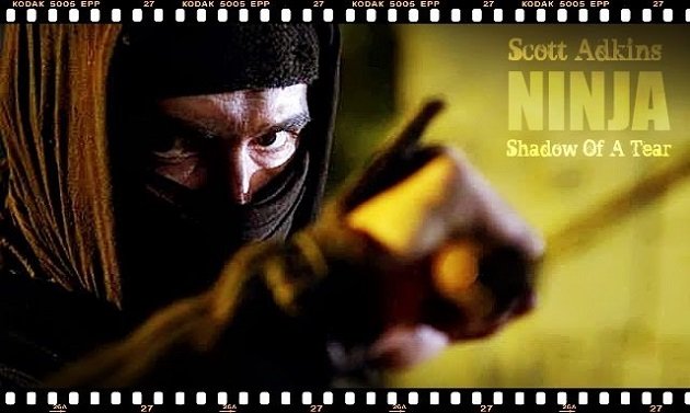 Ninja Shadow Of A Tear-thumb-630xauto-42035