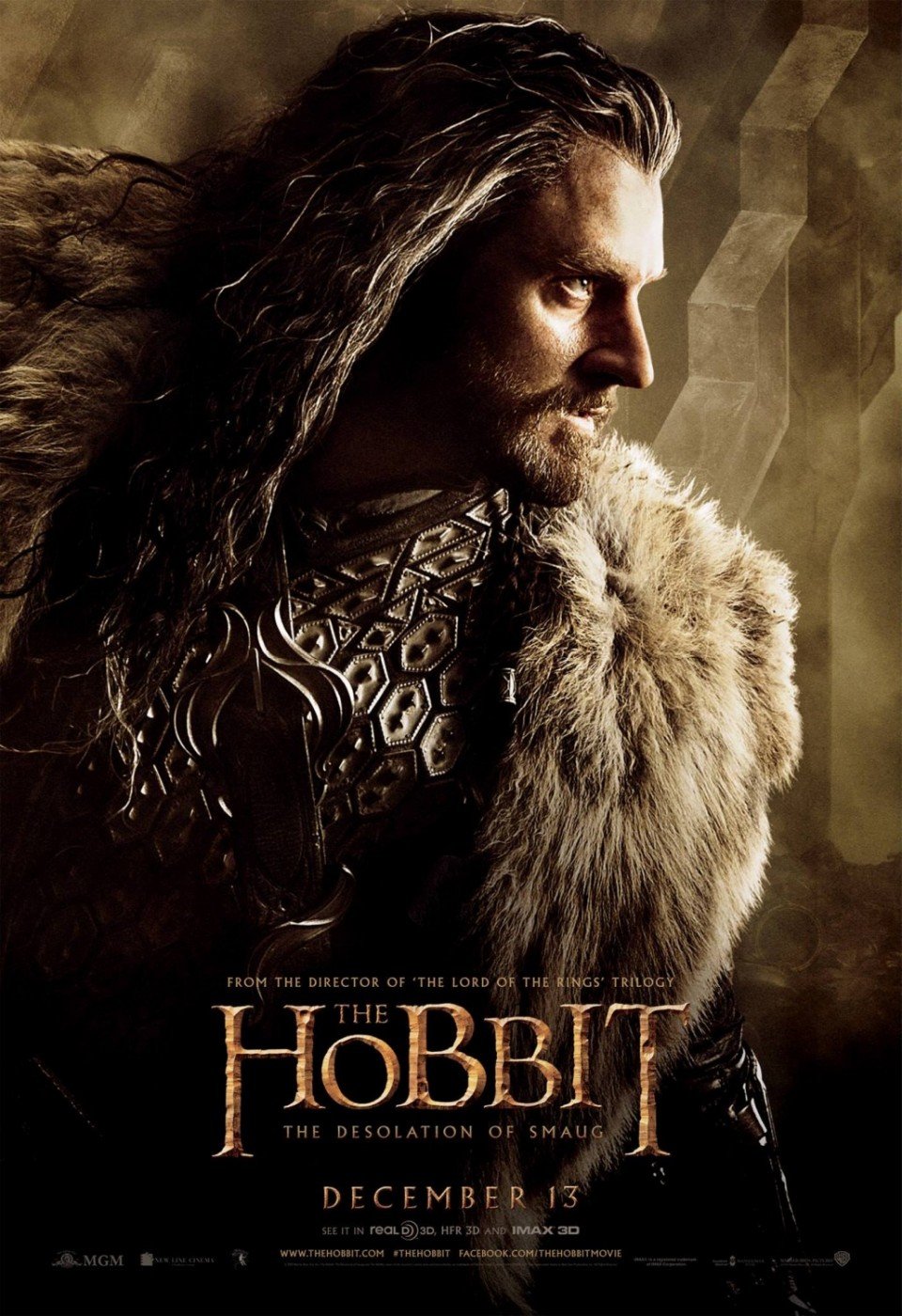 hobbit_the_desolation_of_smaug_ver12_xlg