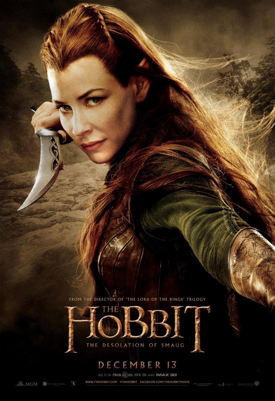 hobbit_the_desolation_of_smaug_ver13_xlg