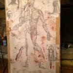 Kevin smith tusk diagram