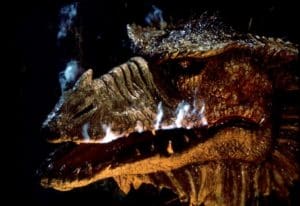 Dragonslayer