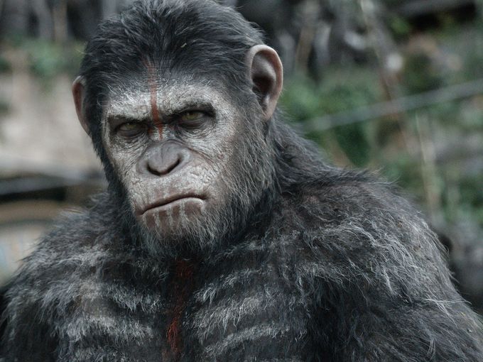 Dawn Of The Planet Of The Apes Caesar 1