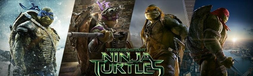 Ninja Turtles 
