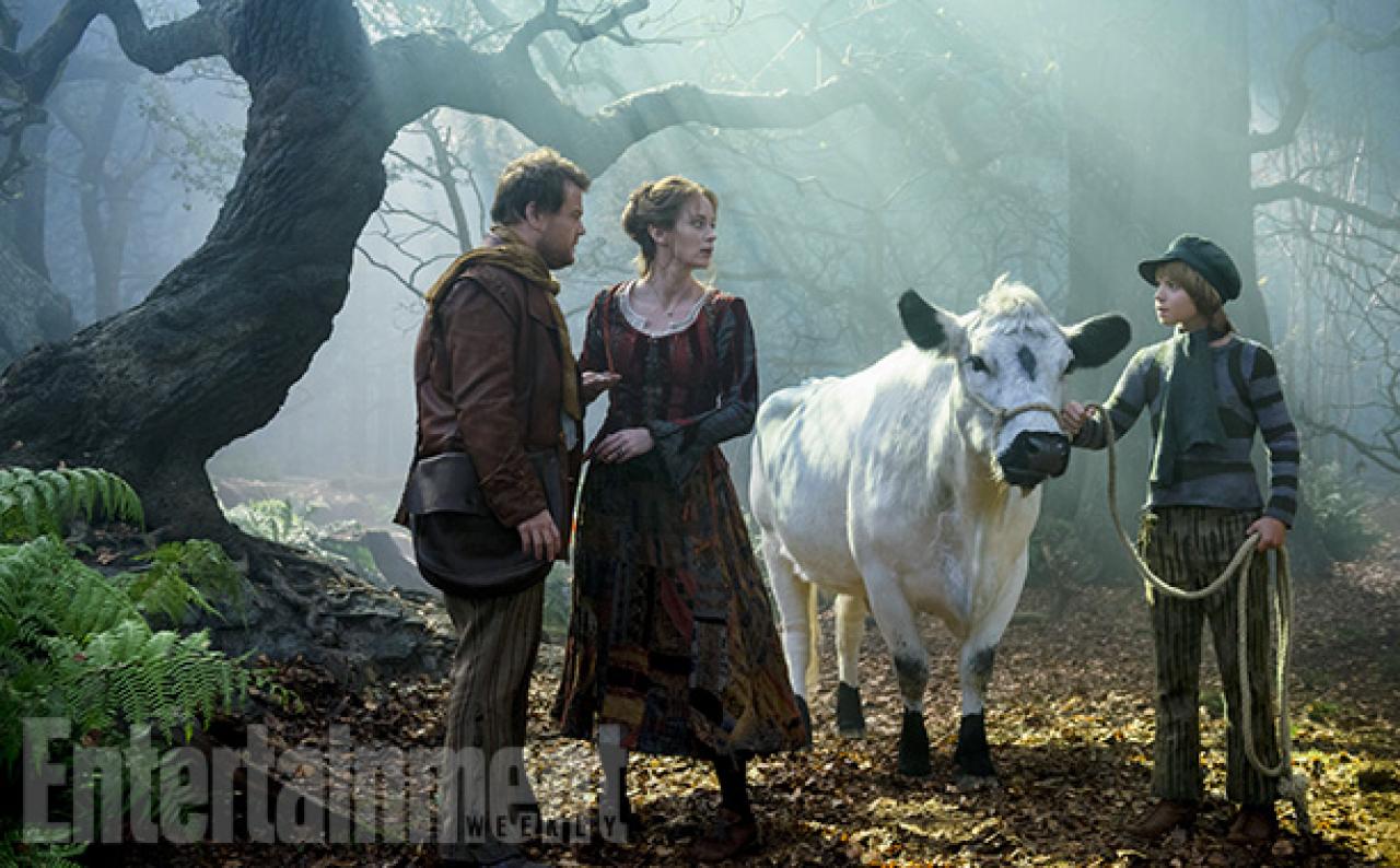 into the woods 9
