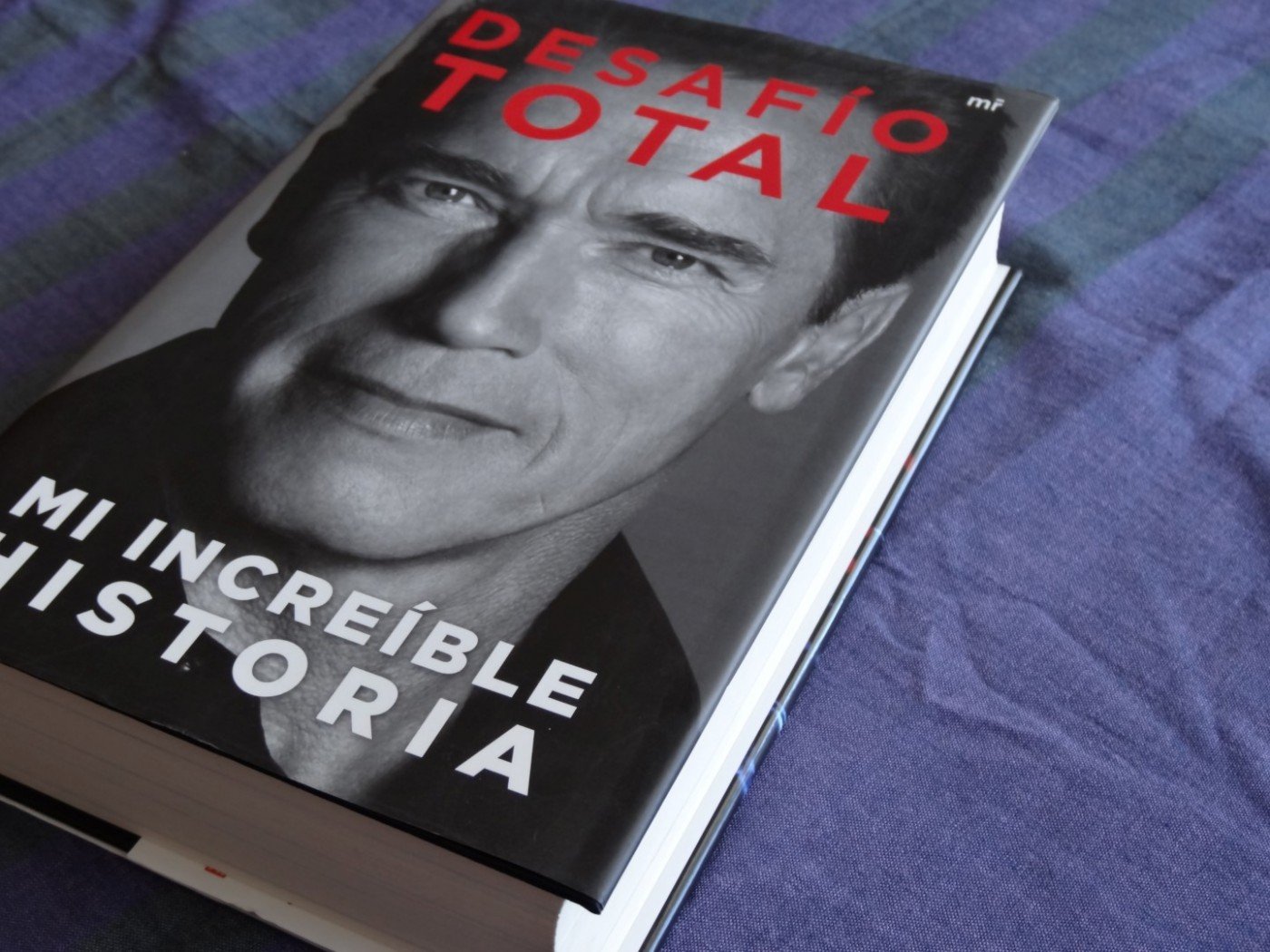 Schwarzenegger: Mi increíble historia – Fin de la historia