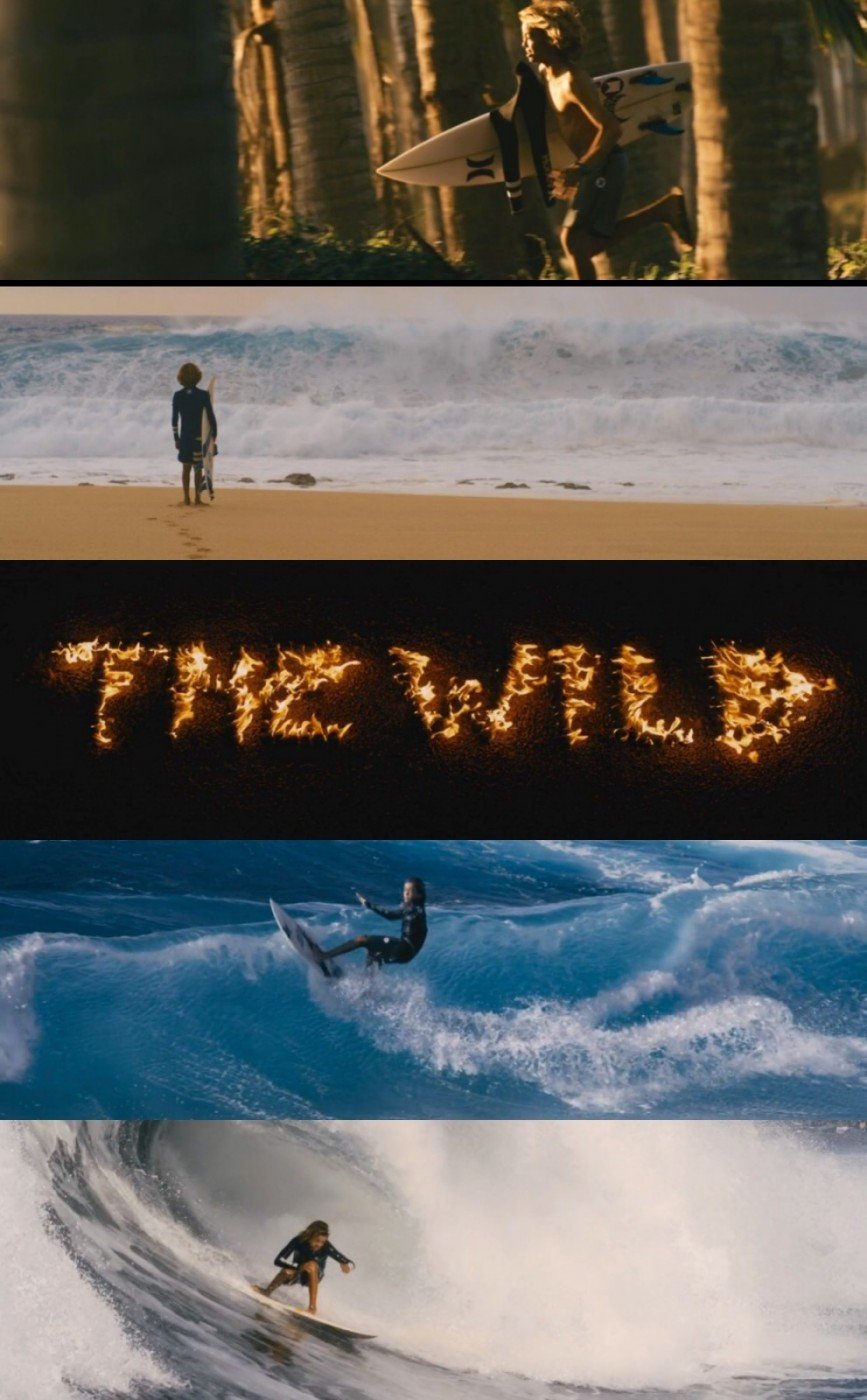 The wild