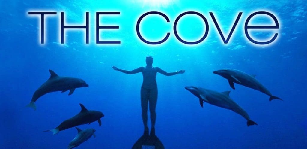 Thecove