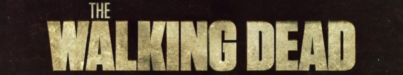 The Walking Dead, avance del episodio 6x10