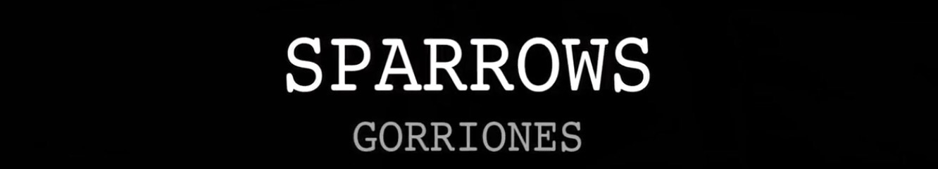 Gorriones, trailer de la Concha de Oro 2015 Gorriones, trailer de la Concha de Oro 2015