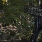 Trailer de Cementerio de animales