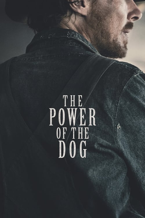 El poder del perro poster