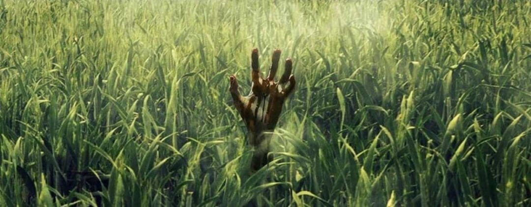 En la hierba alta 2019 Vincenzo Natali in-the-tall-grass-Películas de terror psicológico - TOP 10