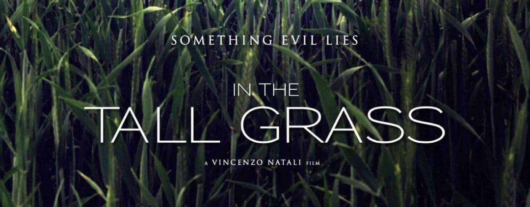 In the Tall Grass 2019 en la hierba alta banner Películas de terror psicológico - TOP 10