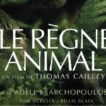 Reino animal
