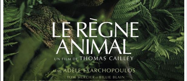 Reino animal