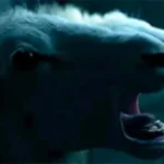 Ya tenemos el primer tráiler de ‘Black Sheeps’, la secuela del clásico de culto de ovejas asesinas - portada