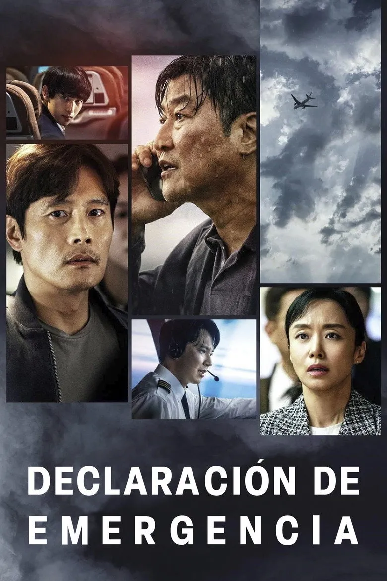 Declaración de emergencia - poster