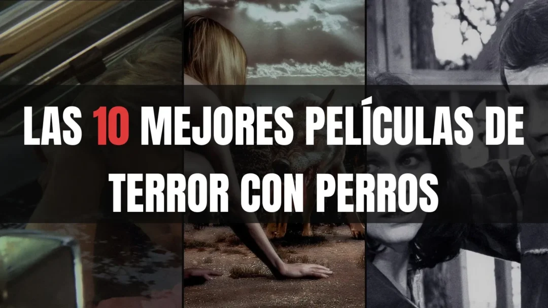 Las 10 mejores Películas de terror con perros