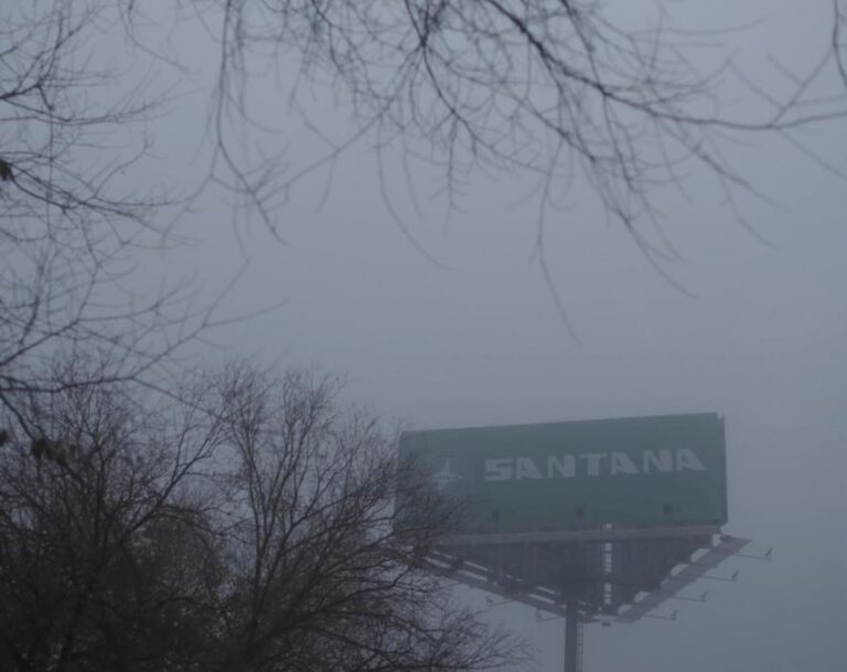 Taranta